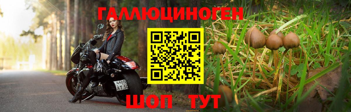 Златоуст  Галлюциногенные грибы мухоморы  купить наркоту  Вход с VPN 