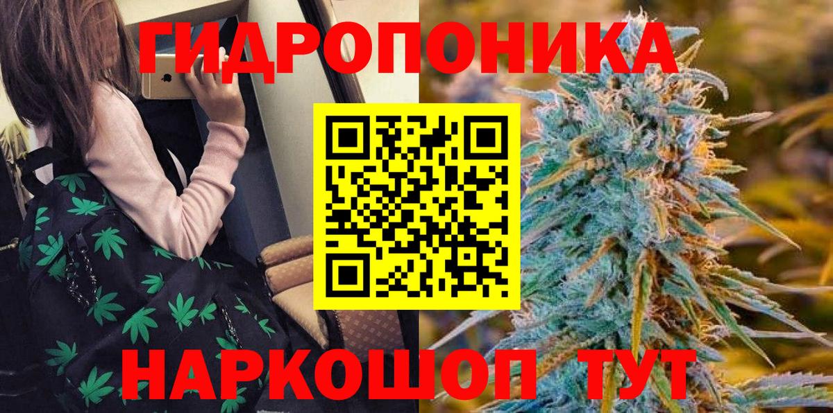 Златоуст  Марихуана индика  Конопля OG Kush  Вход с VPN 